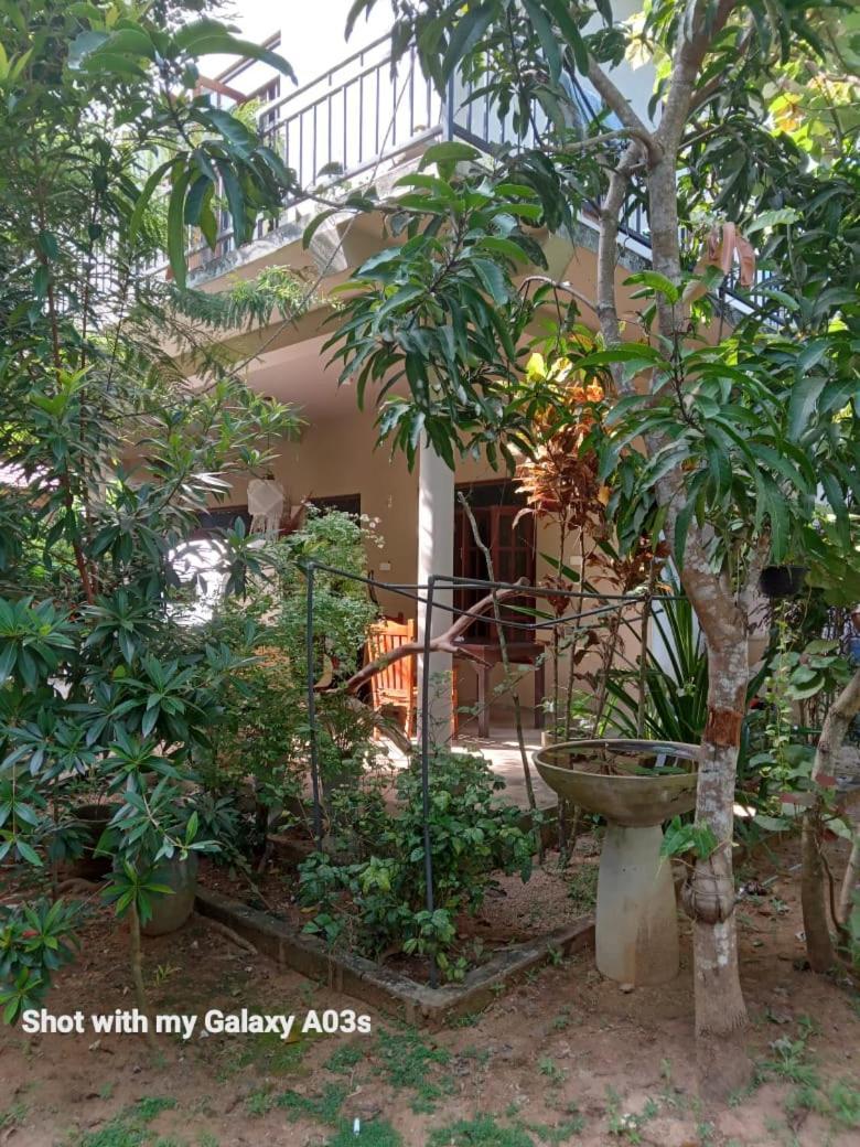 Bamboo Grove Villa Тангалле Екстер'єр фото